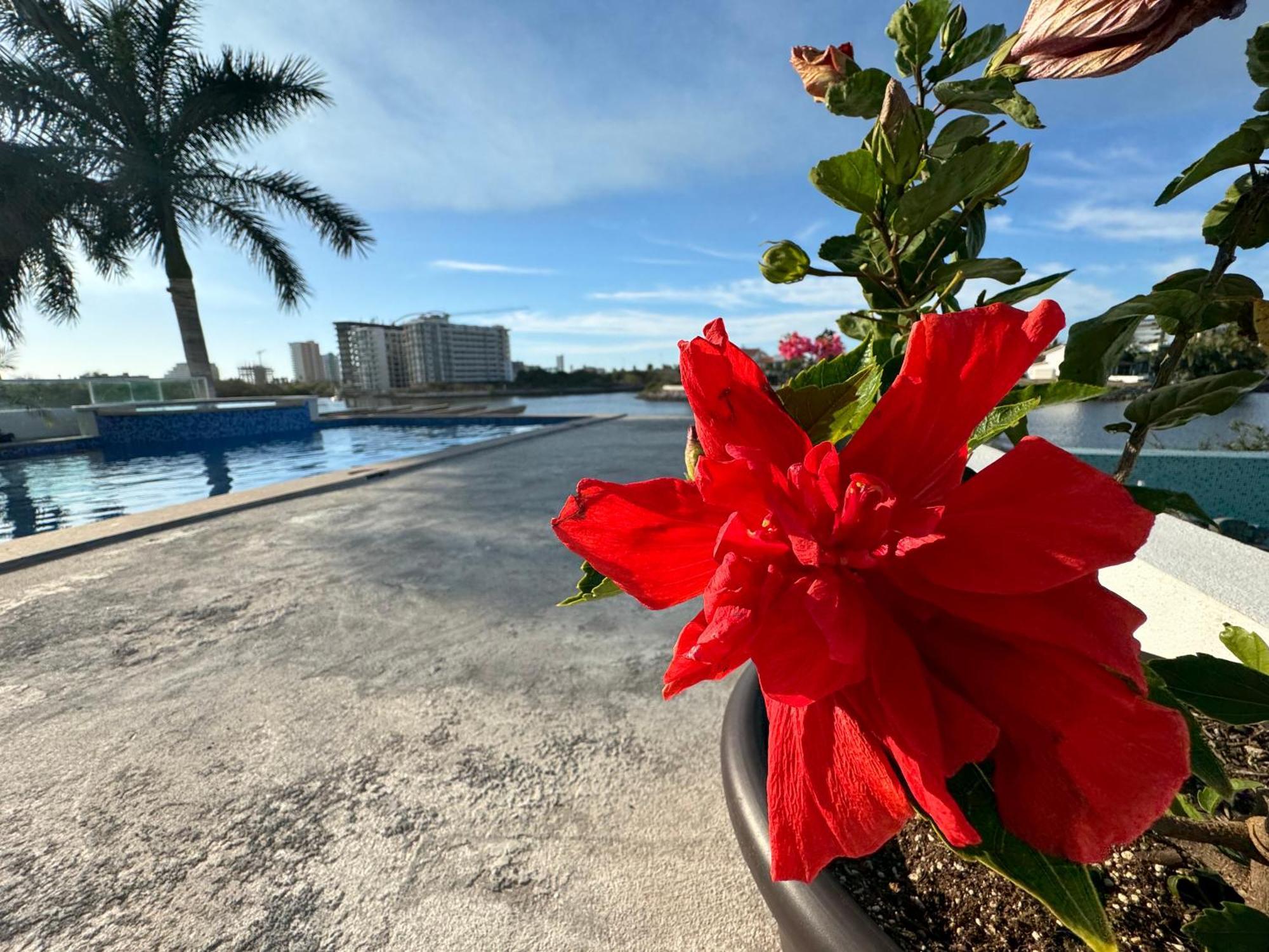 马萨特兰Casa Isla Marina Vista Al Mar 20 Personas别墅 外观 照片